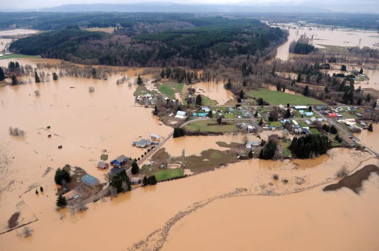 washington flood insurance agent