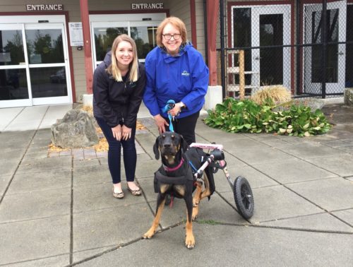 Everett Animal Shelter