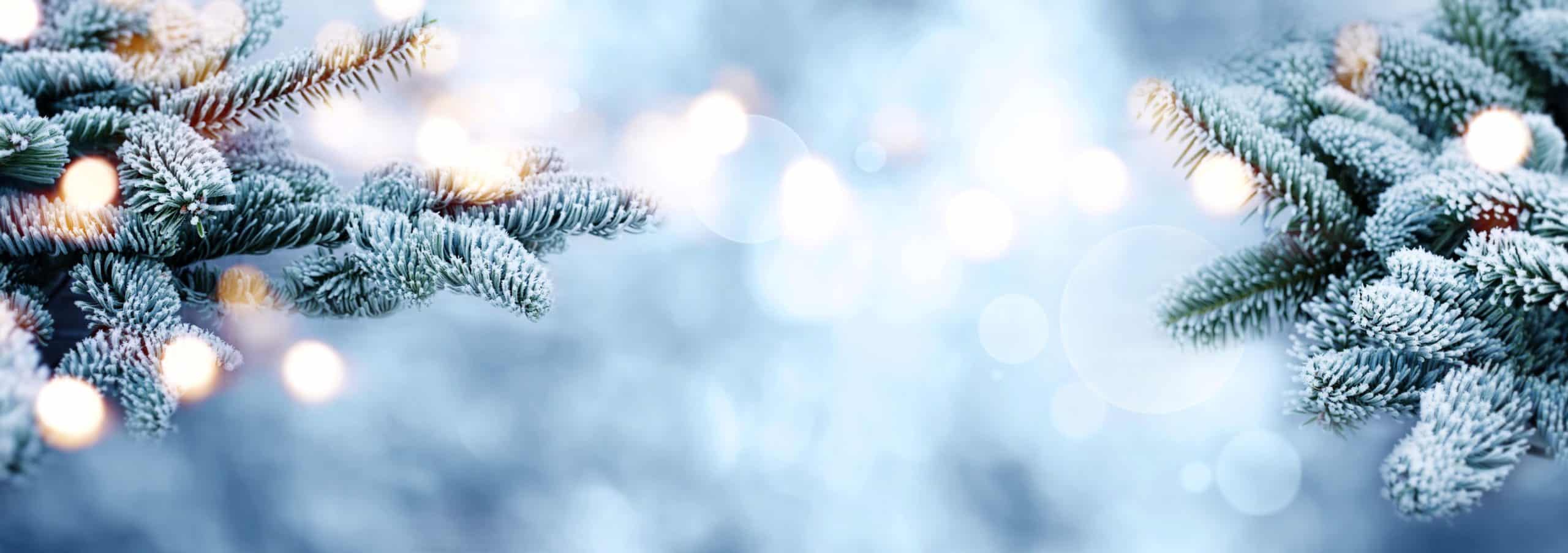 Holiday background horizontal for web