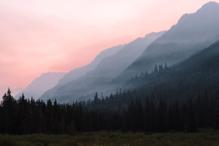 Wildfires in Washington State