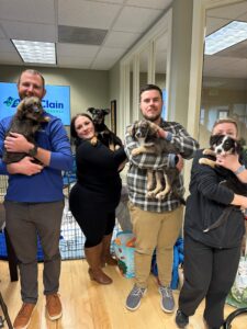 McClain Insurance & Everett Animal Shelter livestream