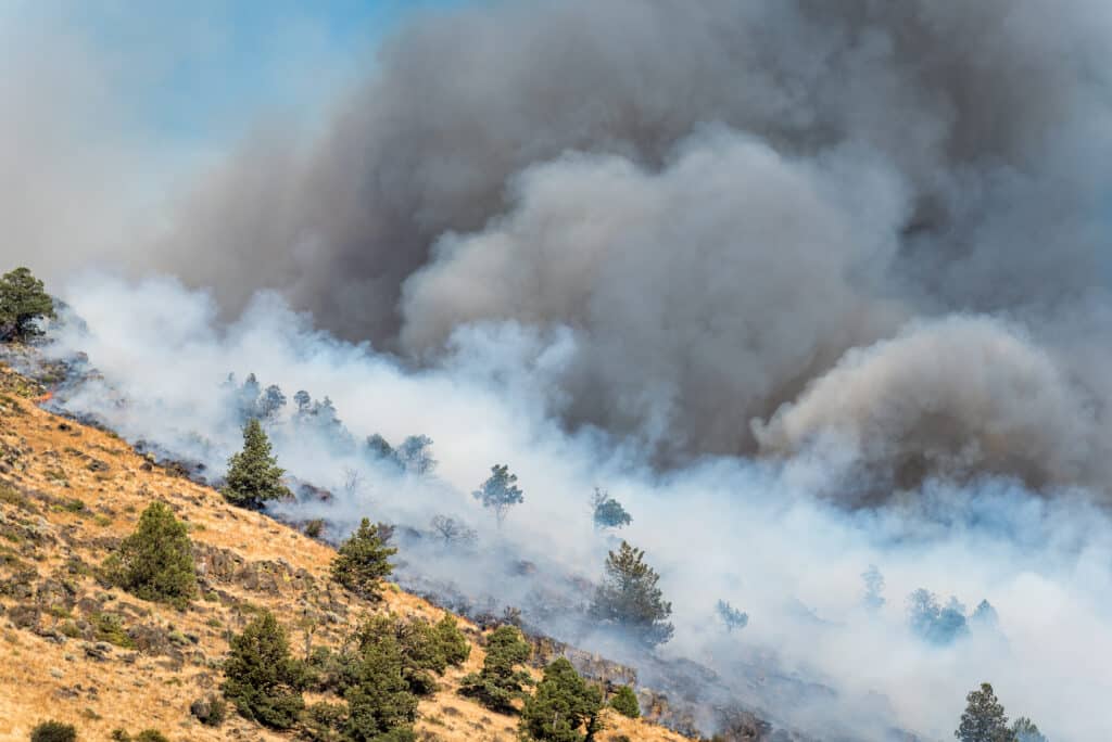 Wildfire in Oregon